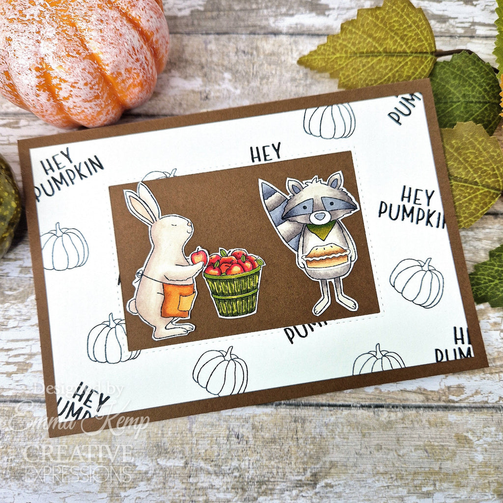 Creative Expressions Apple Pumpkin Spice Clear Stamps cec1049 raccoon