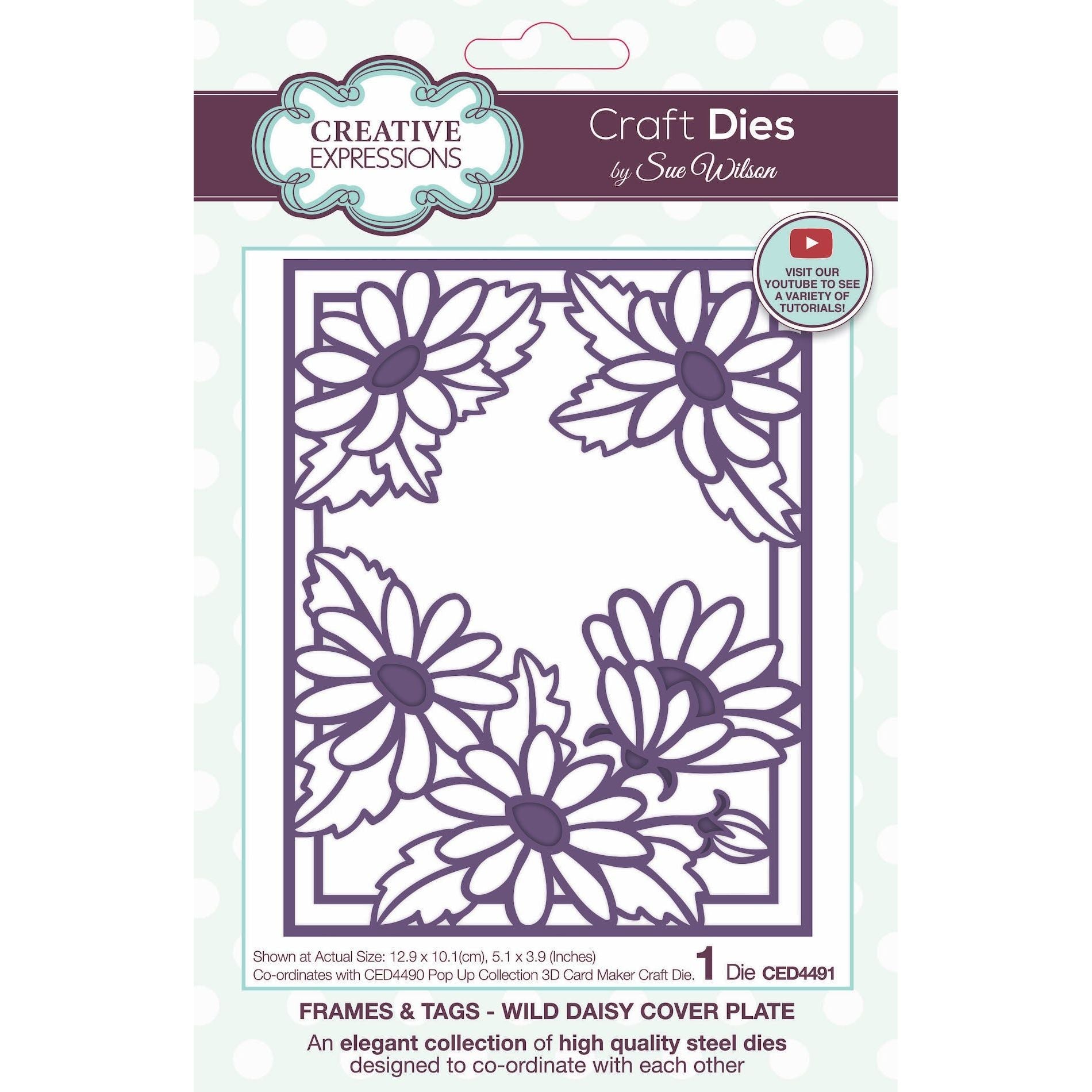 Creative Expressions Wild Daisy Cover Plate Die ced4491