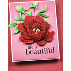 CL5289-Memory Box Hello Butterfly Clear Stamp Set cl5289 beautiful