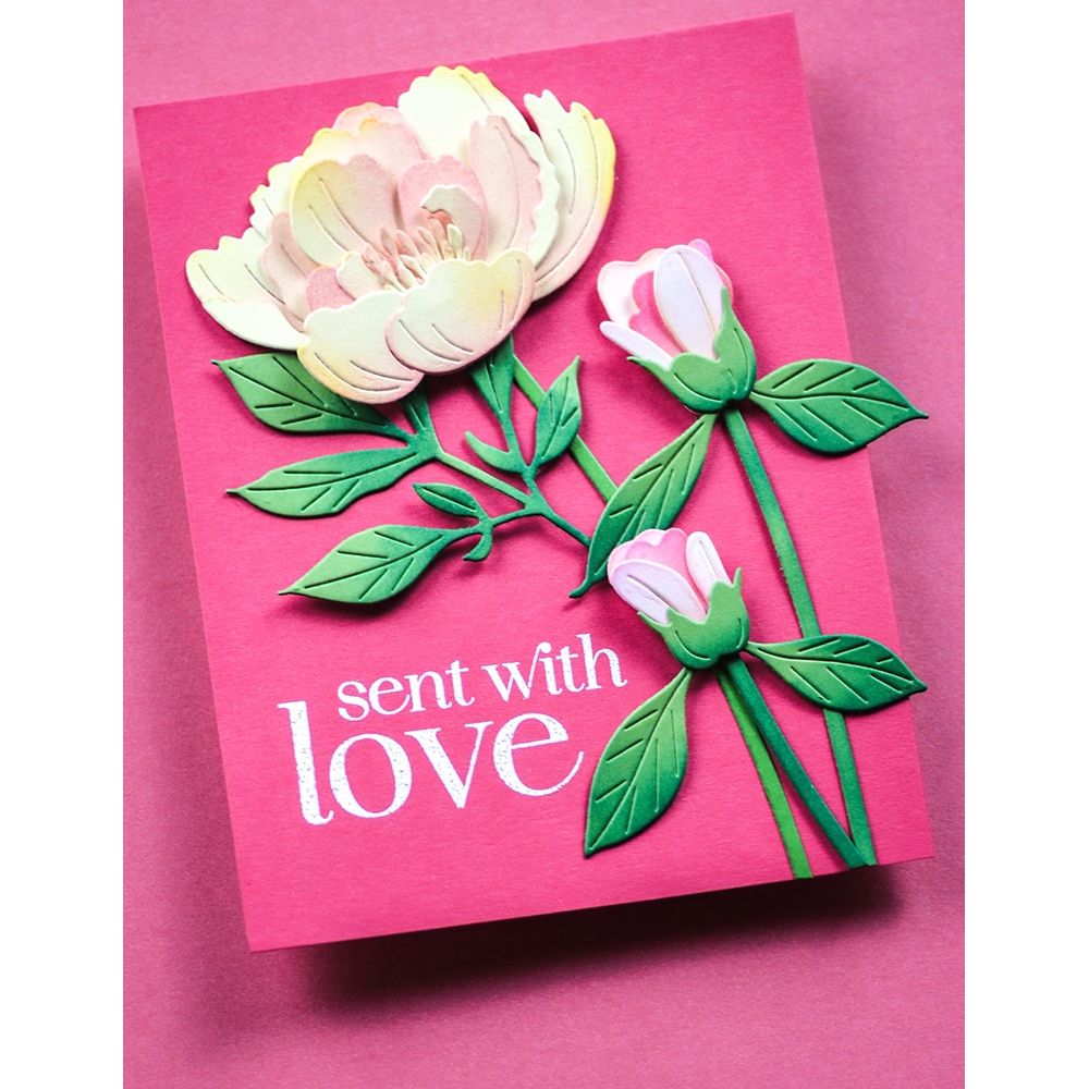 CL5289-Memory Box Hello Butterfly Clear Stamp Set cl5289 love