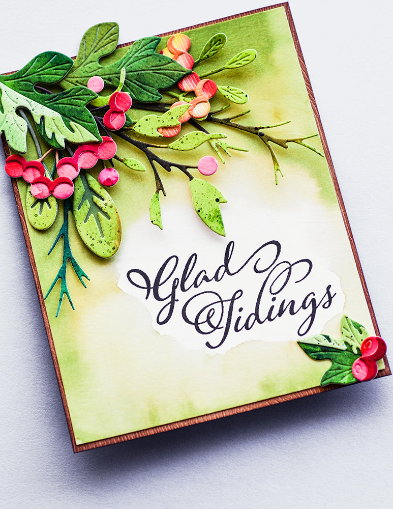 Birch Press Design Glad Tidings Clear Stamps cl8164 holiday card