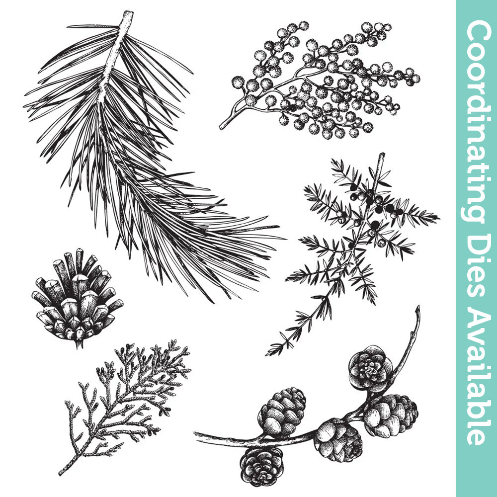 Tim Holtz Cling Rubber Stamps Forest Floor cms422