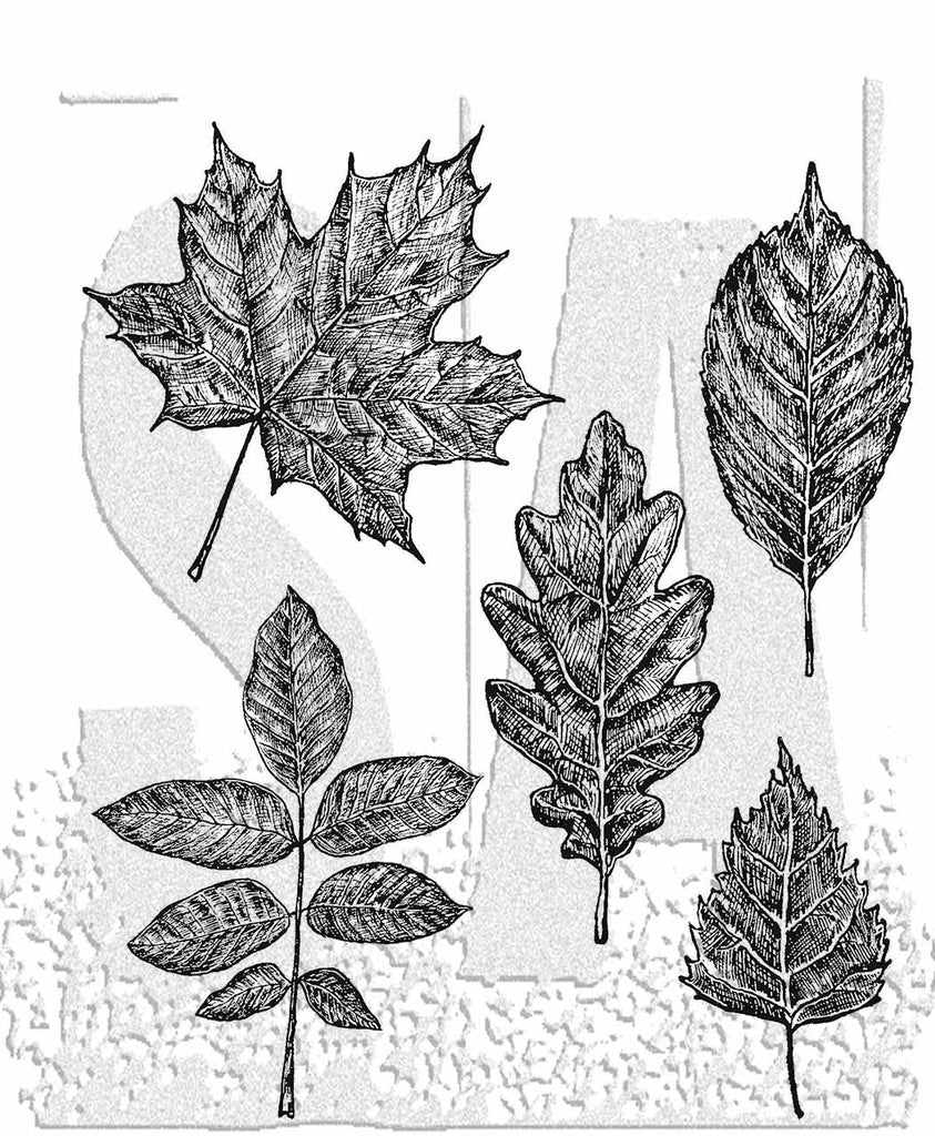 Tim Holtz Cling Rubber Stamps Sketchy Leaves cms467