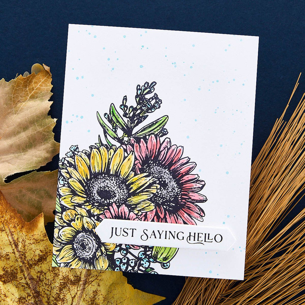 bp-091 Spellbinders Fancy Sentiment Strips Press Plate and Etched Die Set just saying hello