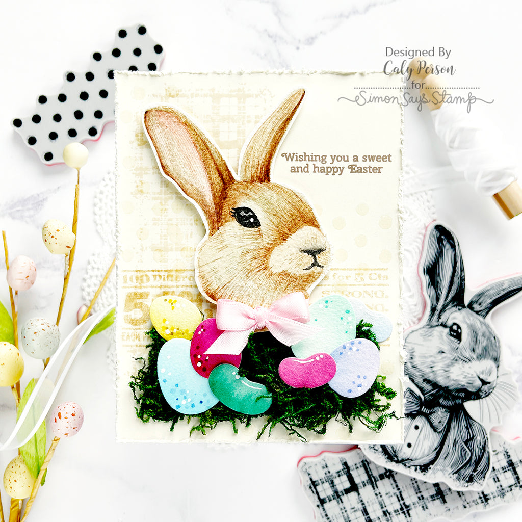 Simon Says Stamp Mr Rabbit Wafer Dies sss478 Easter Card  | color-code:ALT04
