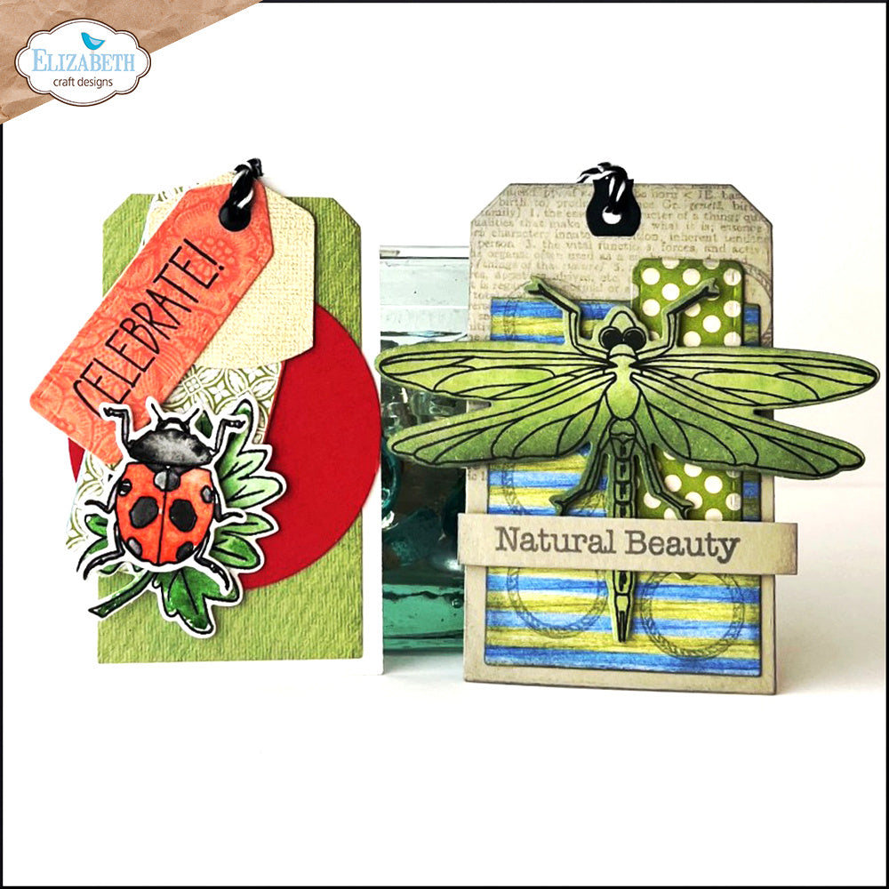 Elizabeth Craft Designs Beetles and Bugs Stamp and Die Set csd402 beauty