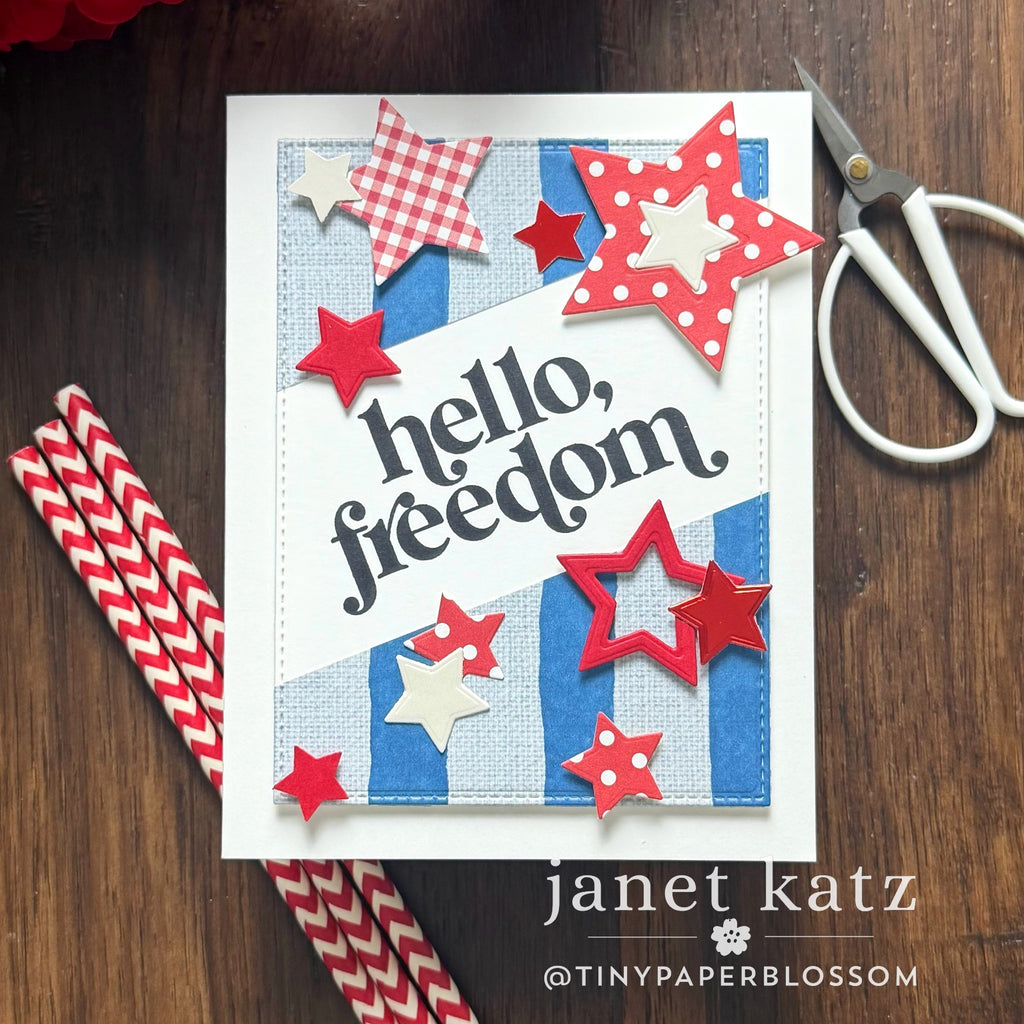 CZ Design Clear Stamps The Divorce Upside cz3105c Shine On Celebrate America Card Janet Katz | color-code:ALT03