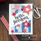 CZ Design Clear Stamps The Divorce Upside cz3105c Shine On Celebrate America Card Janet Katz | color-code:ALT03