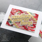 CZ Design Sending Warm Hugs Wafer Dies czd284 DieCember Hugs Card | color-code:ALT07