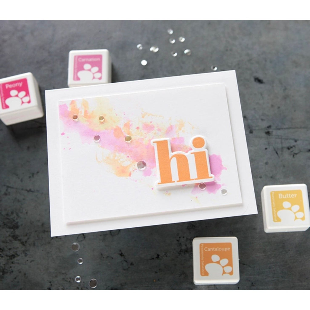 Simon Says Stamp Pawsitively Saturated Ink and Re-inker Set Peony | color-code:ALT02