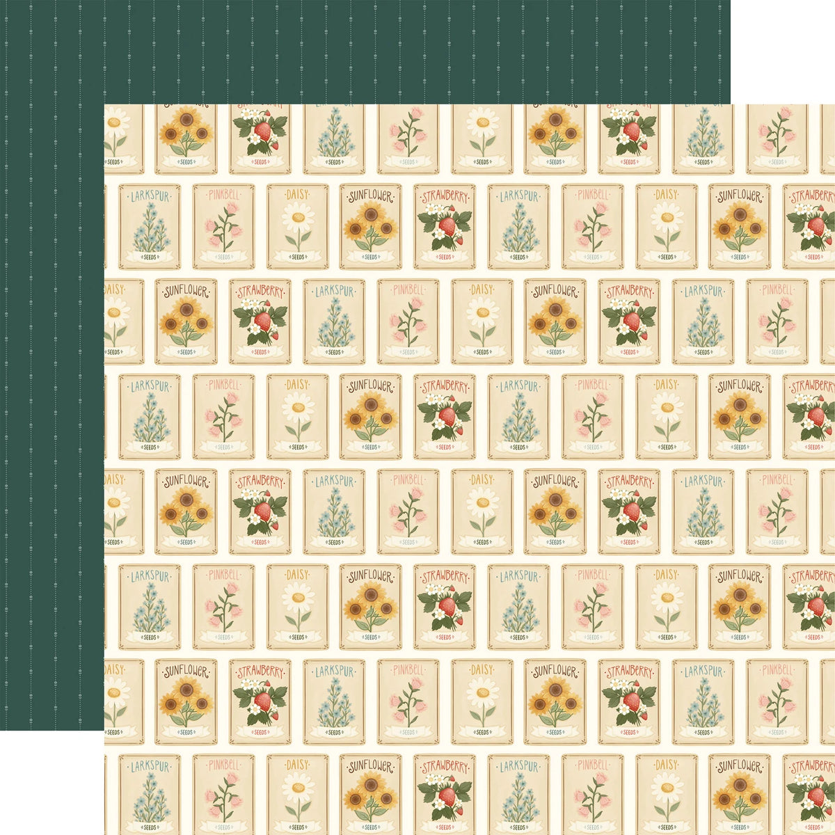 Carta Bella Home Sweet Home 12 x 12 Collection Kit cbhsh541016 Flower Seeds
