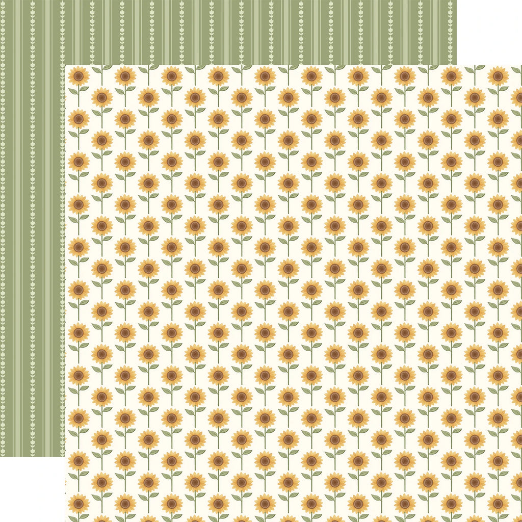 Carta Bella Home Sweet Home 12 x 12 Collection Kit cbhsh541016 Tall Sunflowers