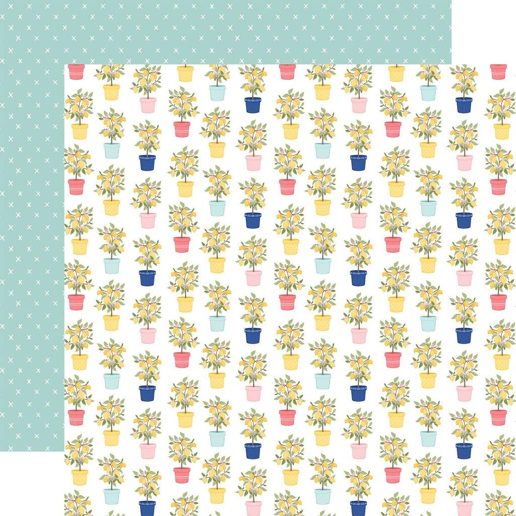 Carta Bella Lemonade 12 x 12 Collection Kit cble495016 Potted Plants