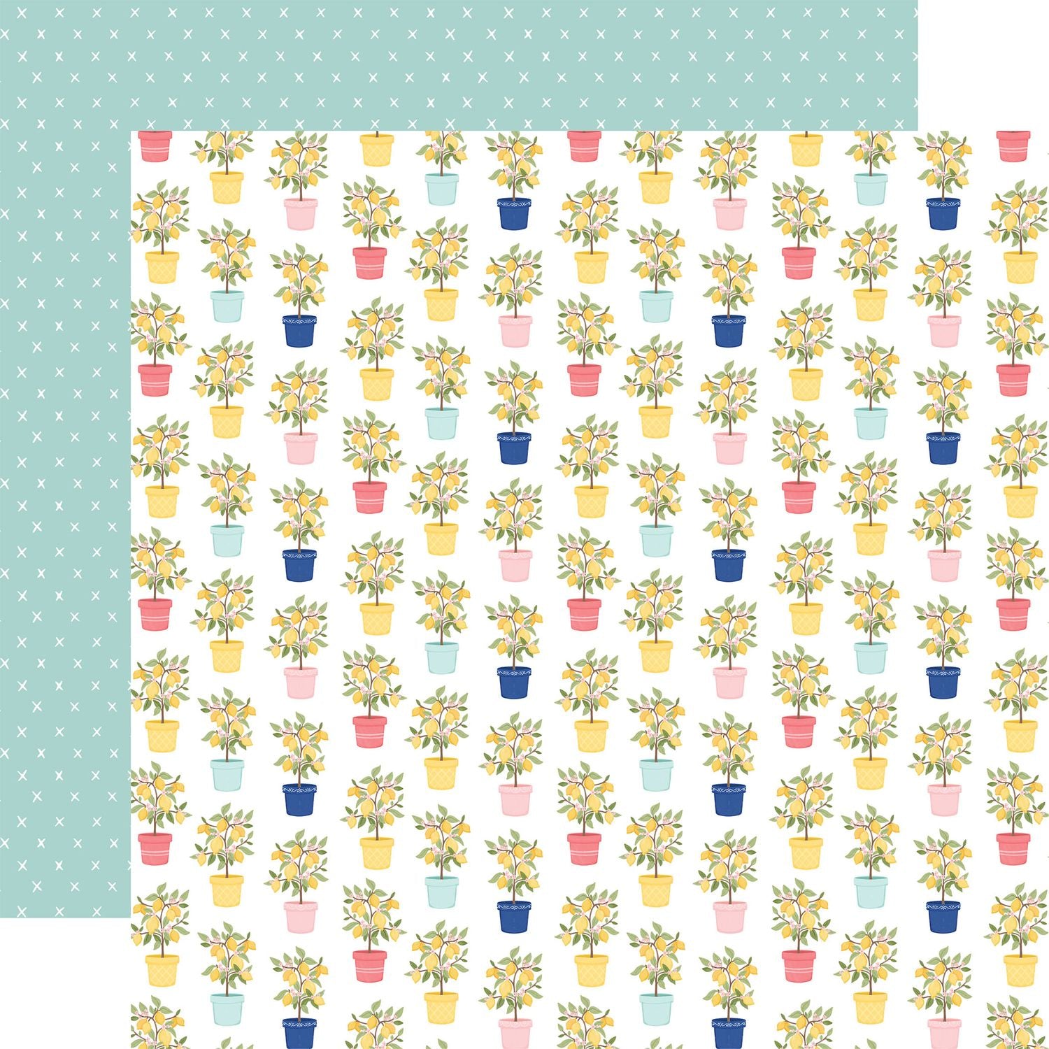 Carta Bella Lemonade 12 x 12 Collection Kit cble495016 Potted Plants