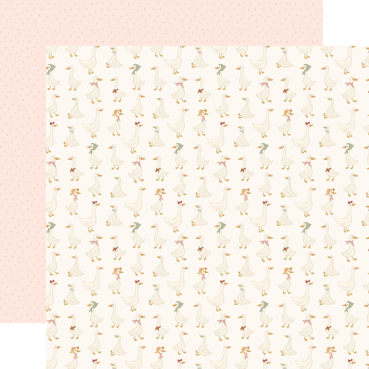 Carta Bella Silly Goose 12 x 12 Collection Kit cbgoo488016 Birds