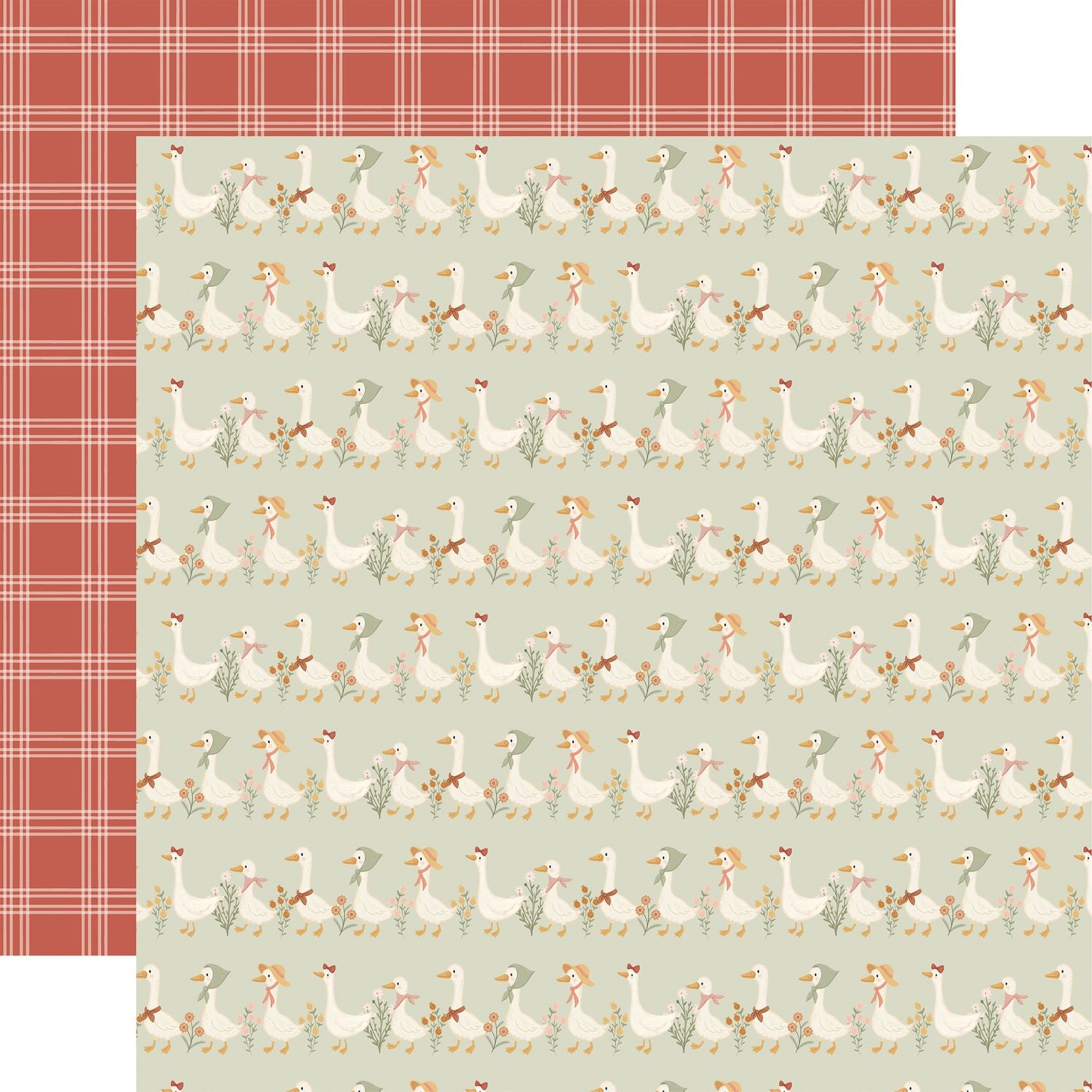 Carta Bella Silly Goose 12 x 12 Collection Kit cbgoo488016 Spring Birds