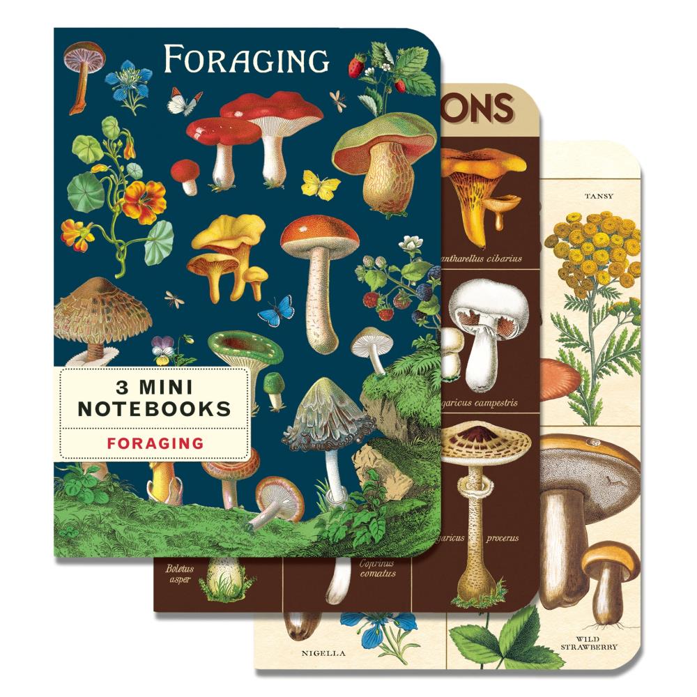 Cavallini Papers & Co. Foraging Mini Notebook 3 Pack