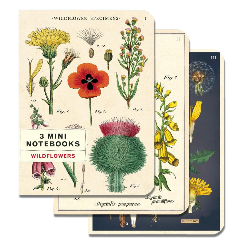 Cavallini Papers & Co. Wildflowers 2 Mini Notebook 3 Pack