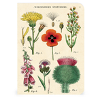 Cavallini Papers & Co. Wildflowers 2 Mini Notebook 3 Pack 1