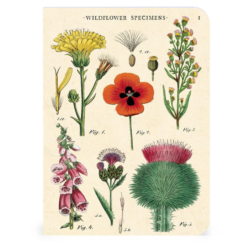 Cavallini Papers & Co. Wildflowers 2 Mini Notebook 3 Pack 1