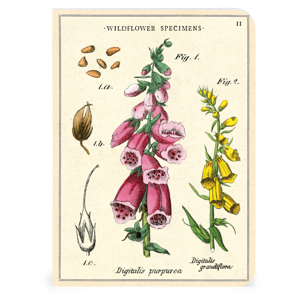 Cavallini Papers & Co. Wildflowers 2 Mini Notebook 3 Pack 2