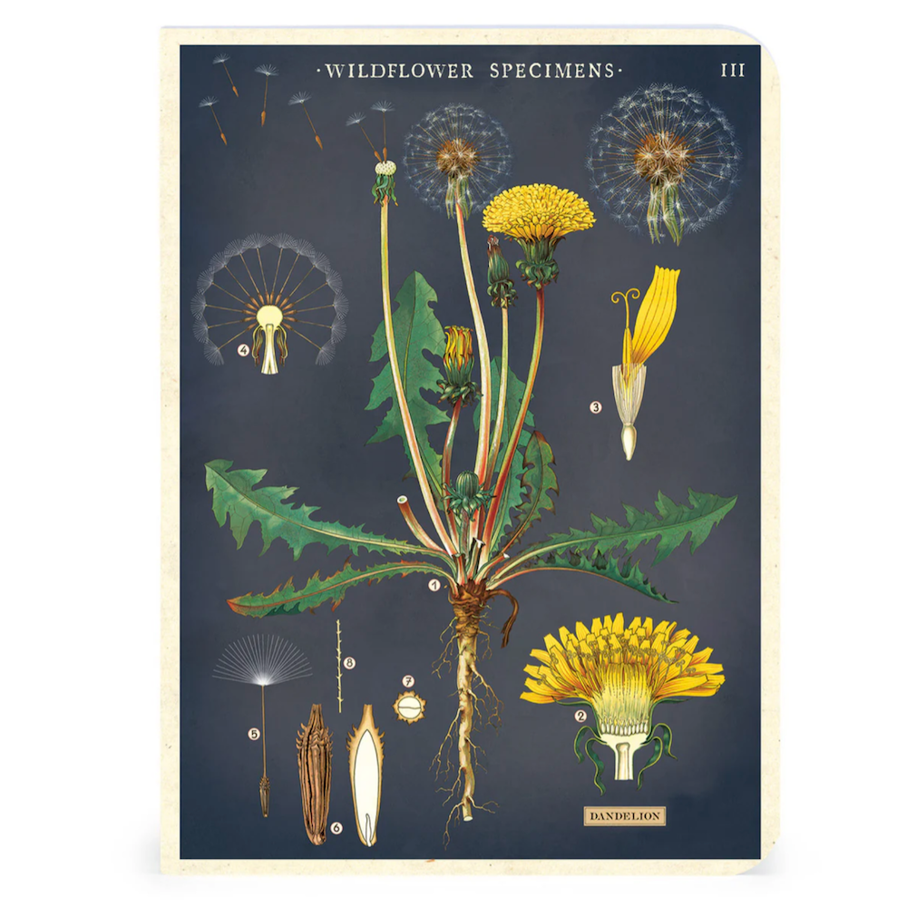 Cavallini Papers & Co. Wildflowers 2 Mini Notebook 3 Pack 3