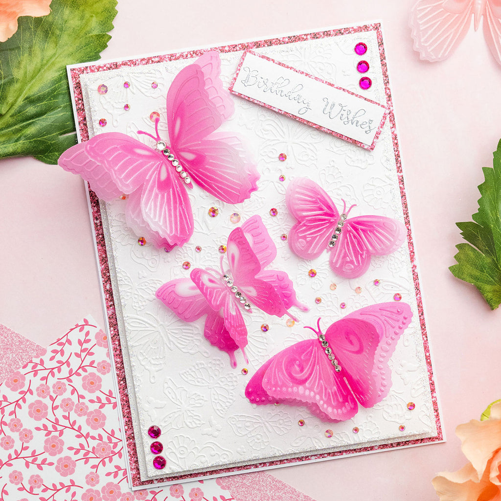 Chloe’s Creative Cards Delightful Butterflies 3D Embossing Folder, Die and Stamp Set c-3dembdiest-db birthday wishes