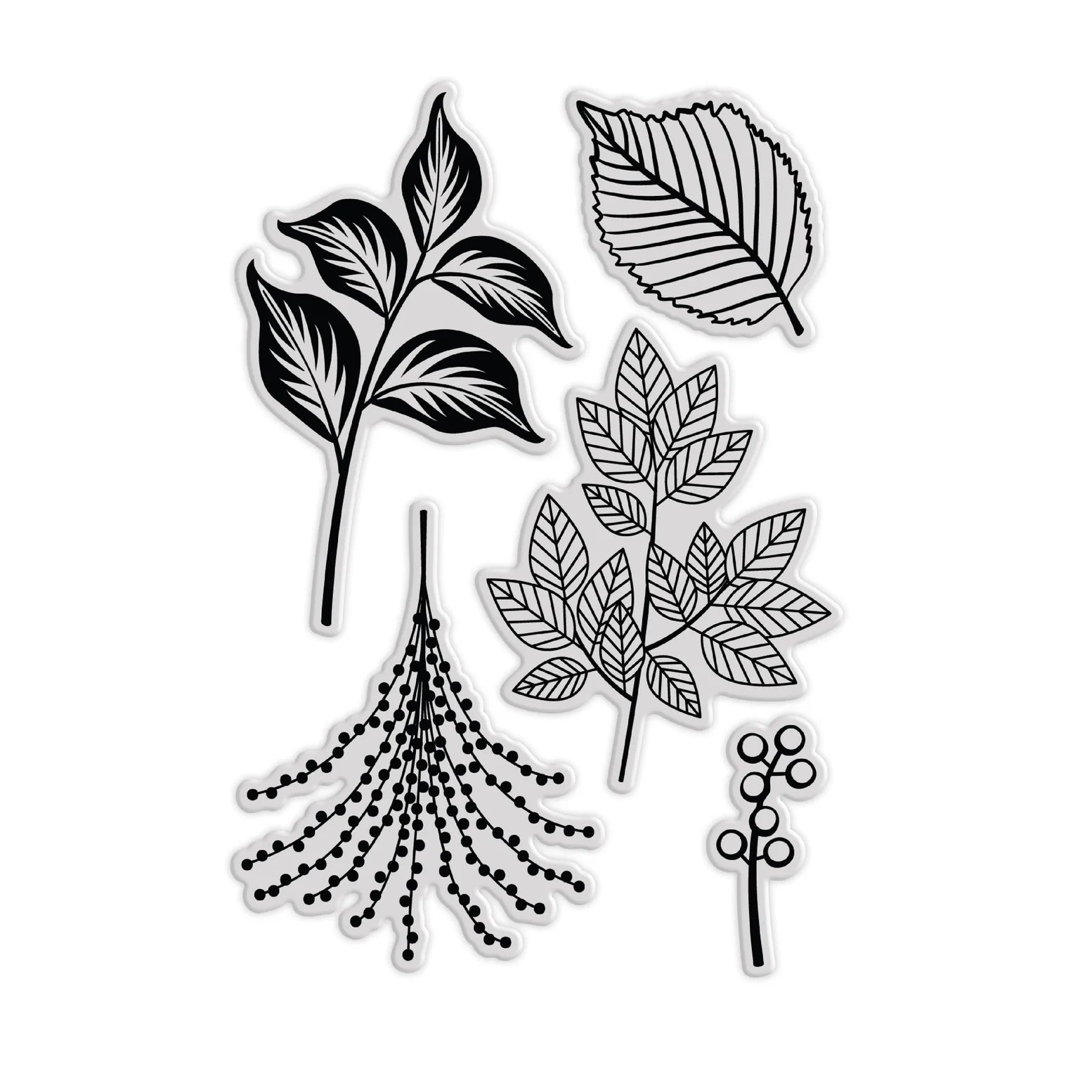 Chloe's Creative Cards Fresh Foliage Die and Stamp Set c-diest-freshfol stamp2