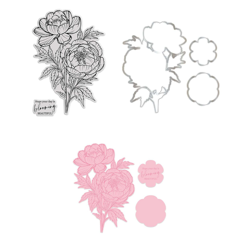Chloe’s Creative Cards Peony Die and Stamp Set c-diest-peo combined