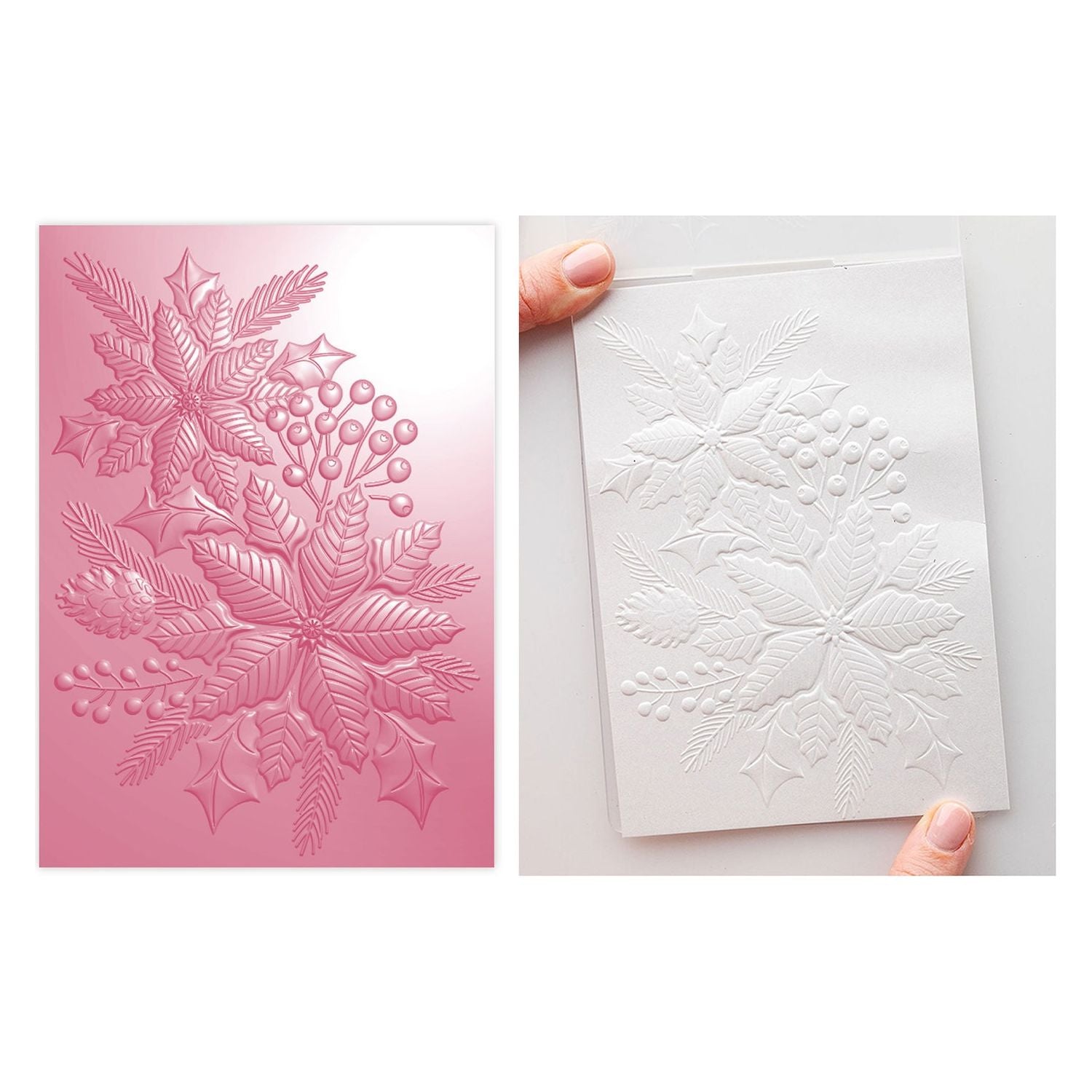 Chloe’s Creative Cards Poinsettia 3D Embossing Folder, Die and Stamp Set c-3dembdiest-poin folder