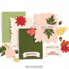 Concord & 9th Autumn Splendor Die Set 12579 product