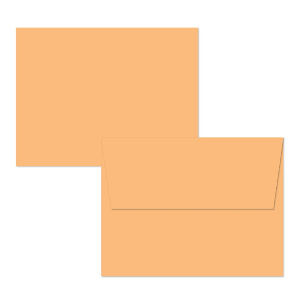 Concord & 9th Creamsicle Envelopes Pack 12132