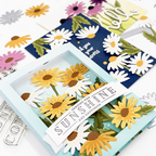 Concord & 9th Daisy Delight Die Set 12996 sunshine flowers