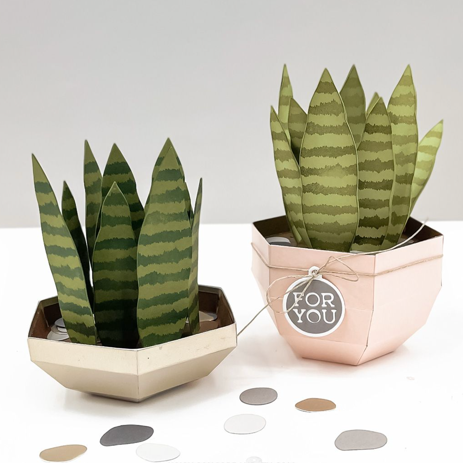 Concord & 9th Fall Favors Box Die Set 12543 plant