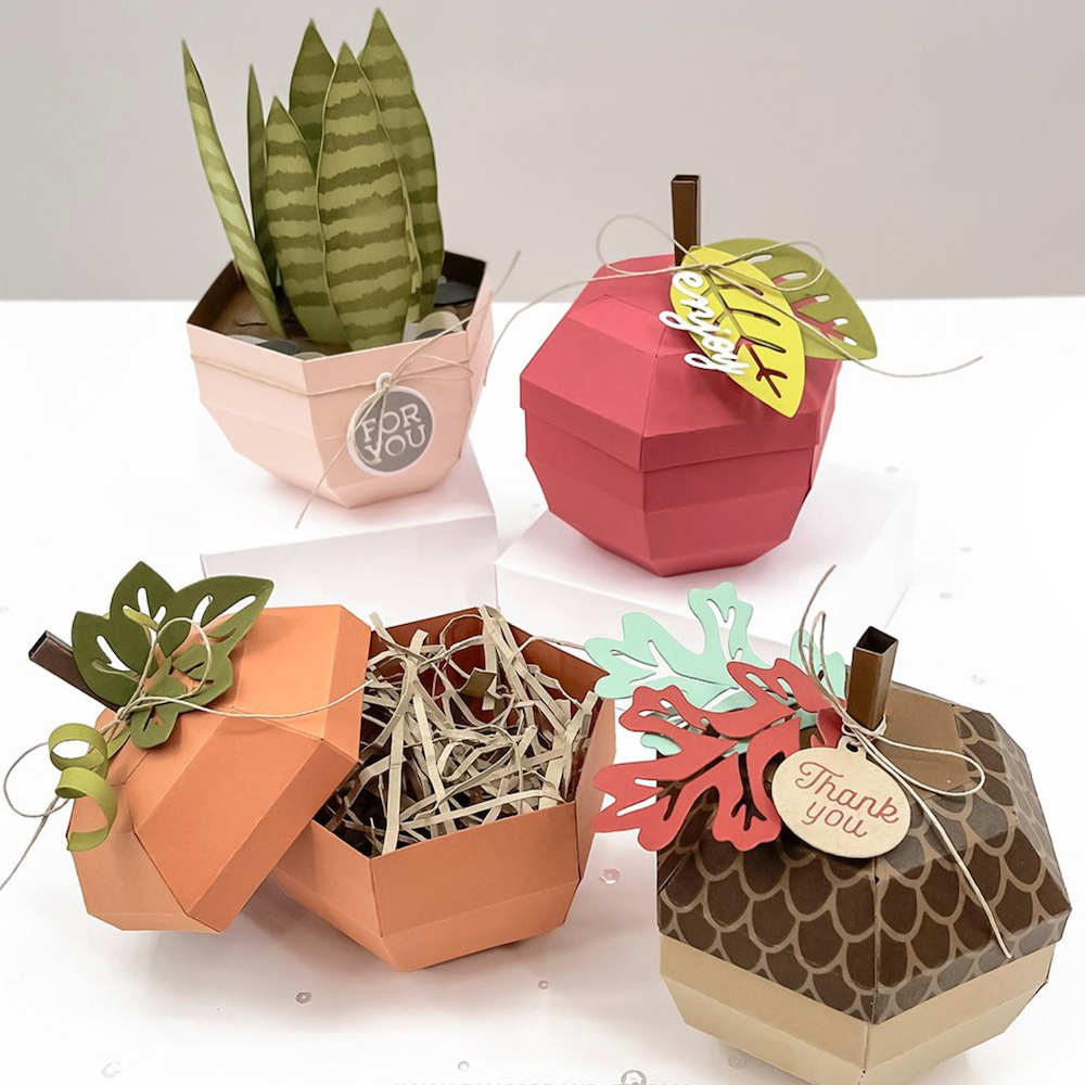 Concord & 9th Fall Favors Box Die Set 12543 samples