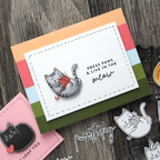 Concord & 9th Kristina Werner Live in the Meow Clear Stamp Set kw1037 paws
