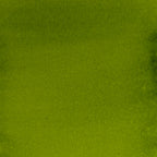 Cosmic Shimmer Inkology Inks Golden Green csasigold color