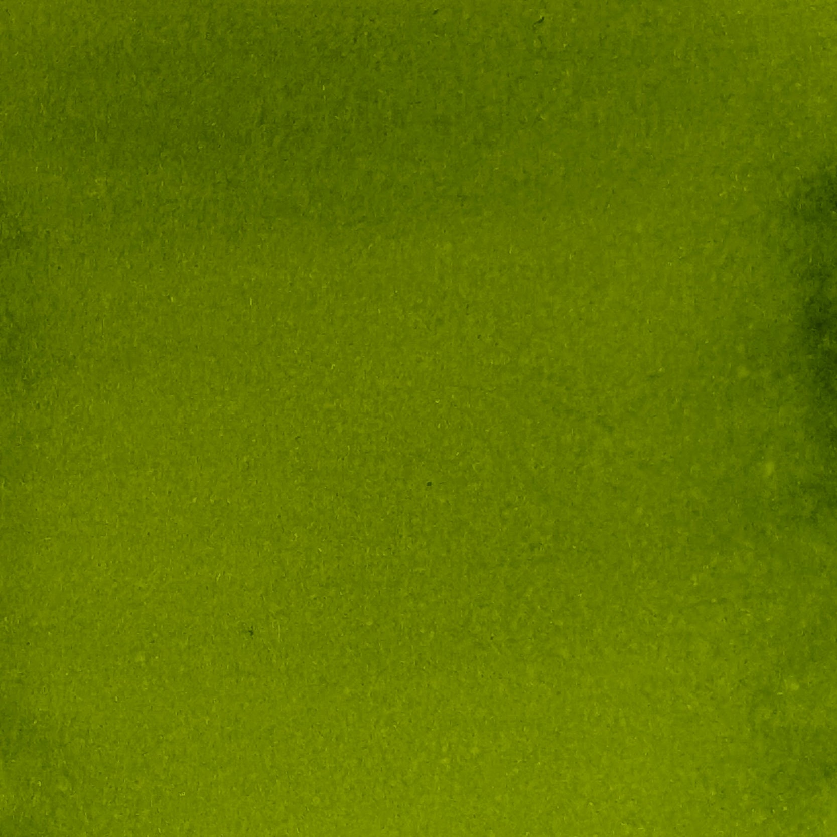 Cosmic Shimmer Inkology Inks Golden Green csasigold color
