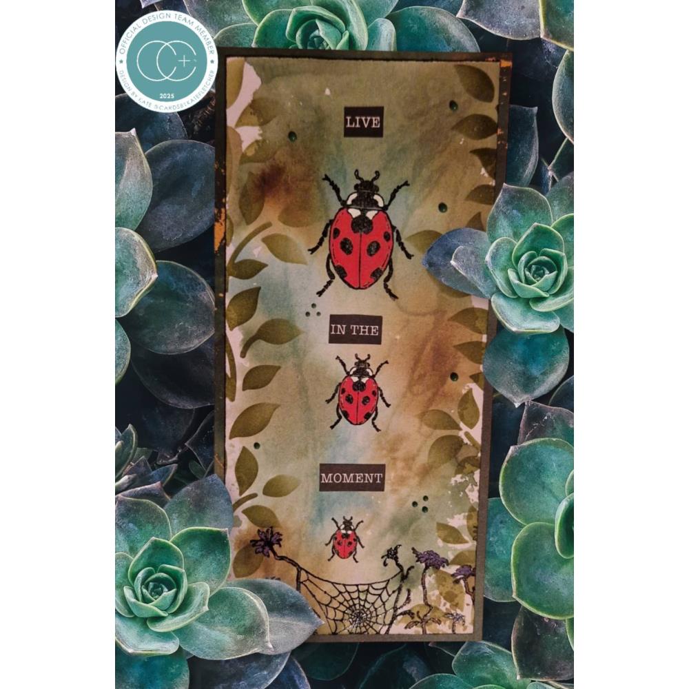 Craft Consortium Faeries Ladybird Clear Stamps cclgstmp015 live in the moment