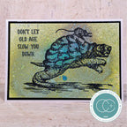 Craft Consortium Oliver's Adventures Old Age Clear Stamps ccdwstp009 let's go