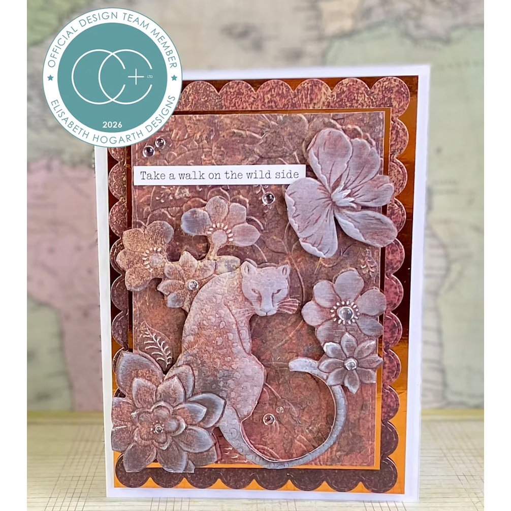 Craft Consortium Rust Textures 6 x 6 inch Paper Pack ccepad043b  panther