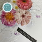 Craft Consortium Soft Pastel 3D Decoupage Flowers cestk001 purple bubbles live life in colour card
