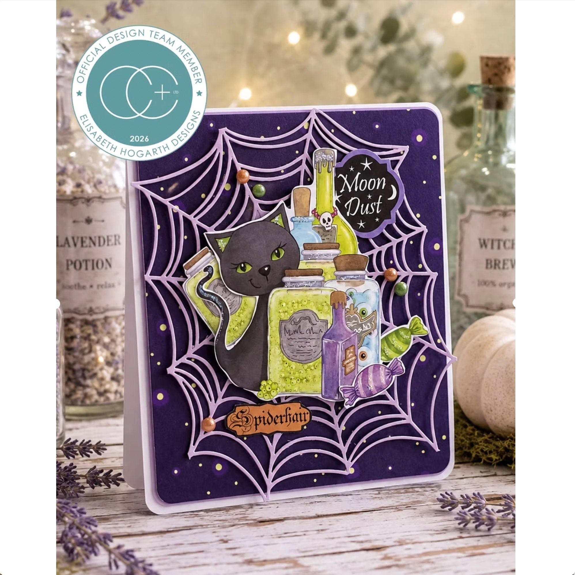 Craft Consortium Spell Book Clear Stamps cclstmp013 spiderweb card