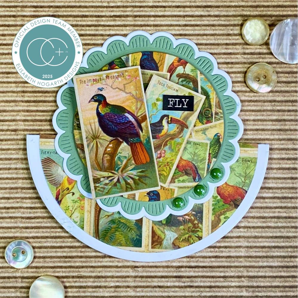 Craft Consortium The Collector Birds Ephemera ceeph002 birds of all colors