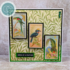 Craft Consortium The Collector Birds Ephemera ceeph002 greenery background
