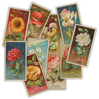 Craft Consortium The Collector Flowers Ephemera ceeph003 all images