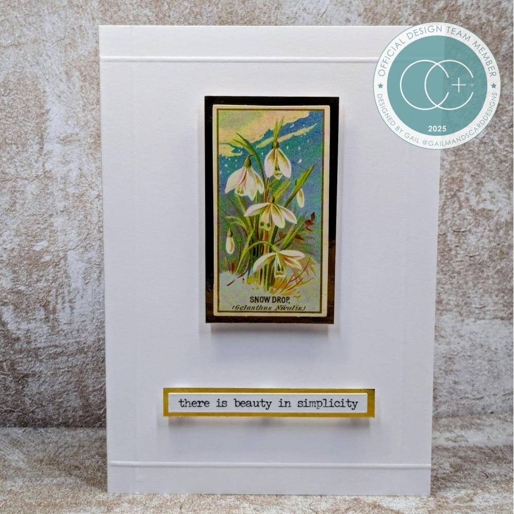 Craft Consortium The Collector Flowers Ephemera ceeph003 snowdrop flowers