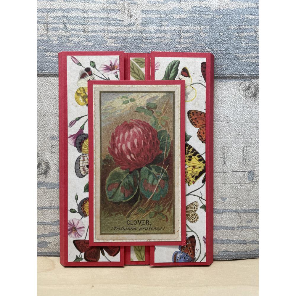 Craft Consortium The Collector Flowers Ephemera ceeph003 thistle flower