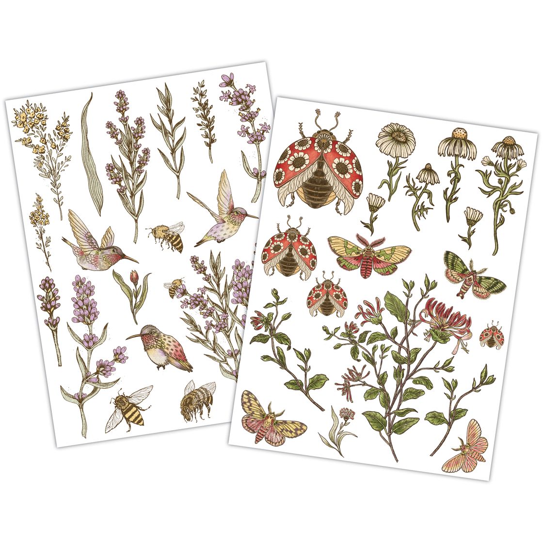 Craft Consortium Vintage Summer Rub On Transfers ccrubt009 contents inside package