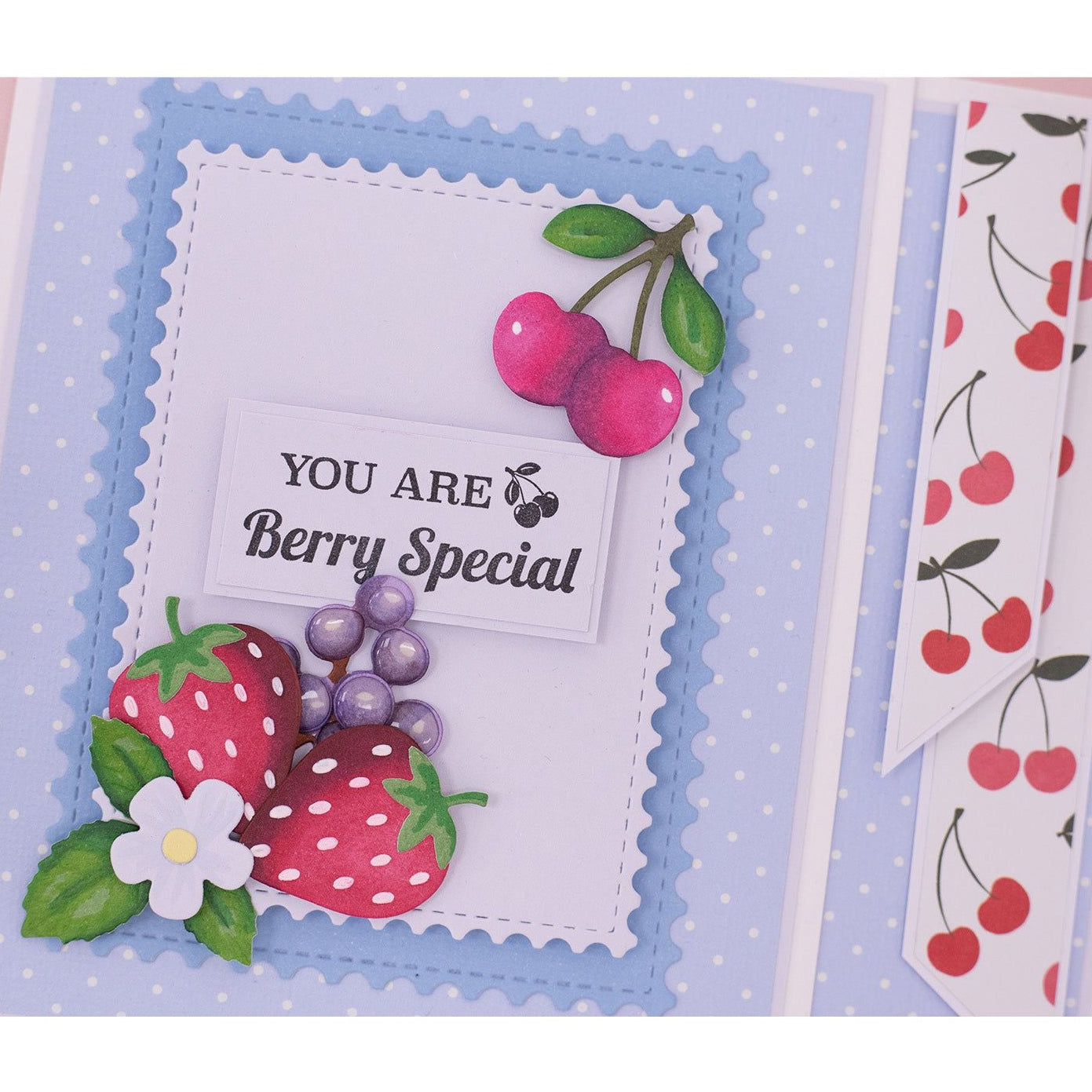 Crafter's Companion Cherries 3D 5 x 7 Embossing Folder ng-bb-3d-ef5-cher You Are Berry Special Card